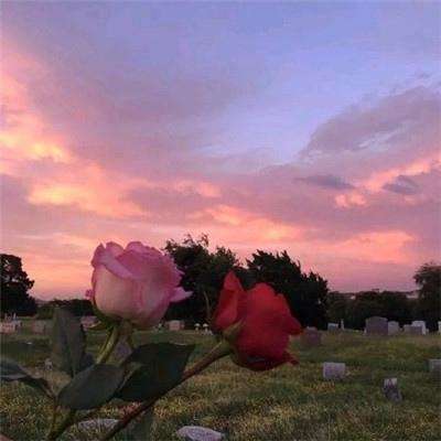 华体会登录手机app下载